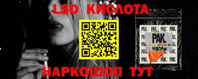 стаф Сланцы