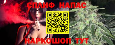 стаф Сланцы