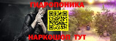 spice Славгород