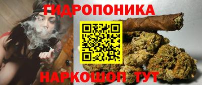 spice Славгород
