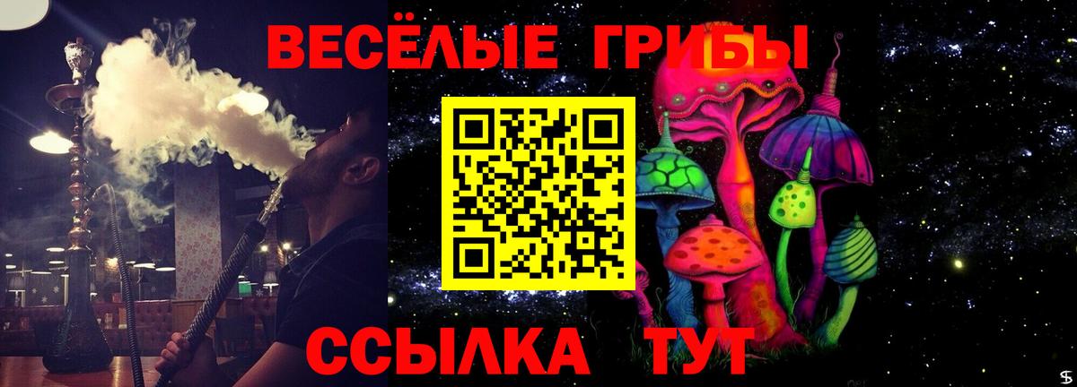 Сафоново  сколько стоит  Вход с VPN  Псилоцибиновые грибы мухоморы 